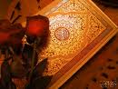 آمریکا و رسانه هایش، راه اهانت به قرآن را هموارکردند